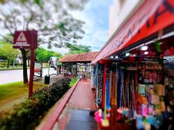 Hougang Avenue 1 (D19), Shop House #593785611